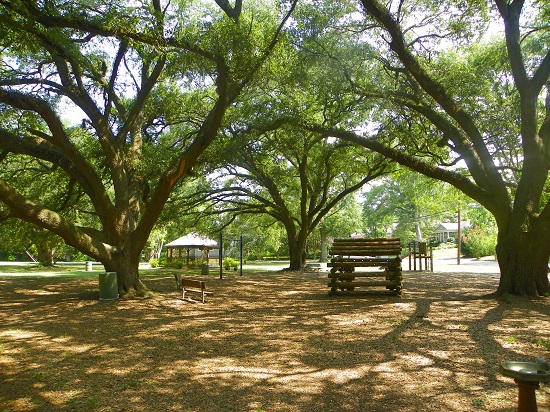 Cloverdale Road Park (Median) 2