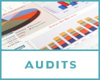 AuditsGraphic